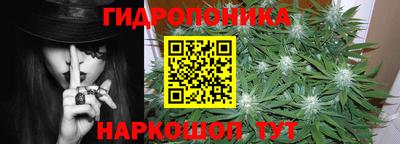 индика Братск