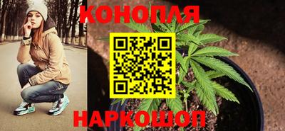 индика Братск