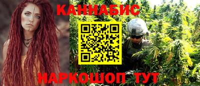 индика Братск