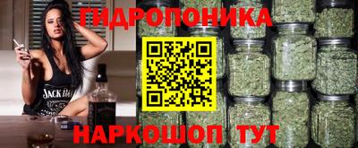 индика Братск
