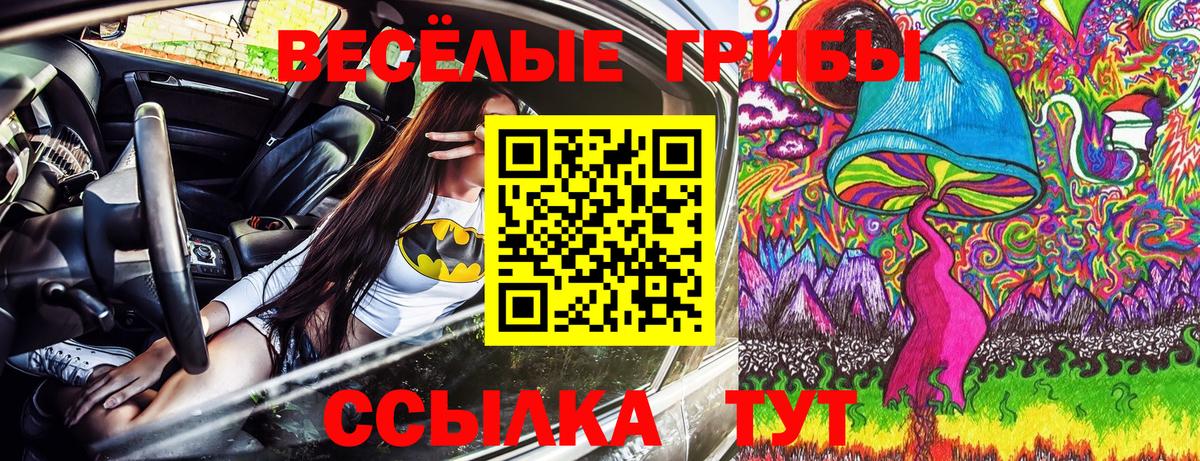 Баксан  Галлюциногенные грибы MAGIC MUSHROOMS  Вход с VPN  Галлюциногенные грибы GOLDEN TEACHER 