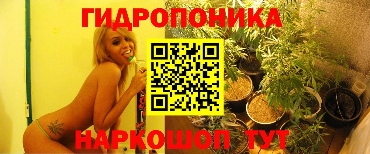 Шишки марихуана Amnesia  Каннабис гибрид  Вход с VPN  Бошки Шишки SATIVA & INDICA  Баксан 